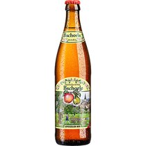 Locher Bschorle alkoholfrei / Biermischgetränk