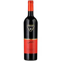 Barbera d'Asti "Soliter"